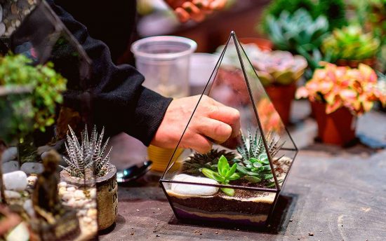 mãos humanas decorando um terrário de vidro com pequenas plantas.